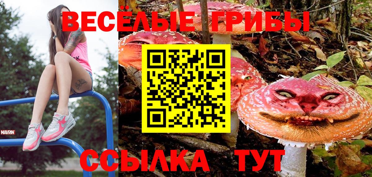 Псилоцибиновые грибы Psilocybine cubensis  Вход с VPN  Кострома 